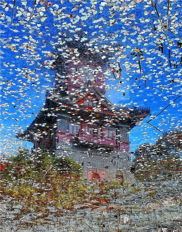 杏叶缀钟楼   拍摄于华西医大 丁毅 15308098218（组照之一）.jpg
